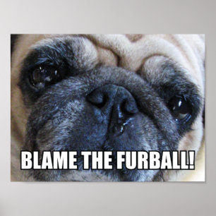 POSTER CULPE O FURBALL! ALLERGY MEME