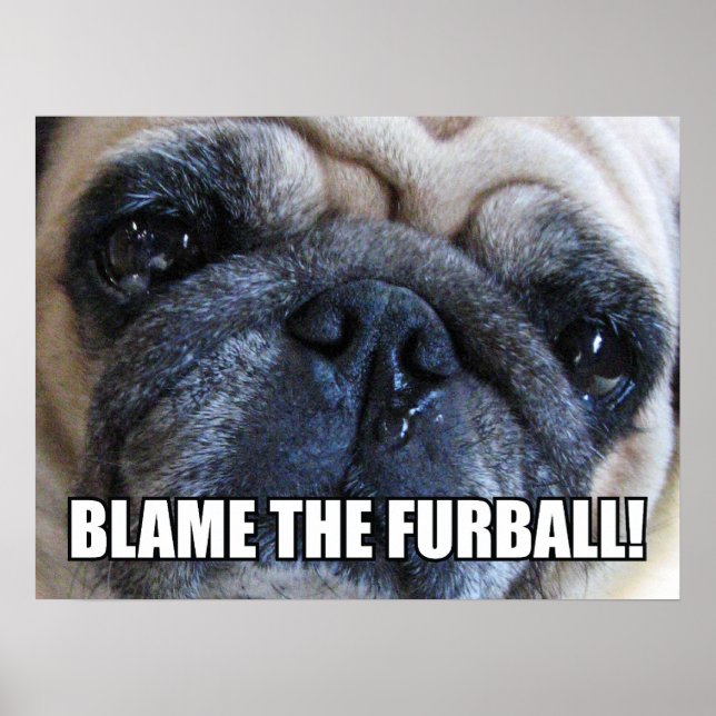 POSTER CULPE O FURBALL! MEME DE ALERGIA (Frente)