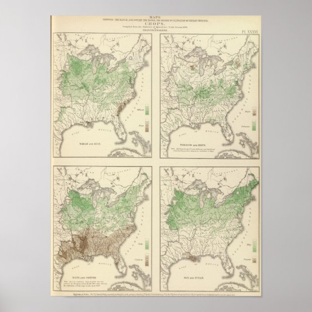 Póster Culturas, Litografia Estatística dos EUA (Frente)