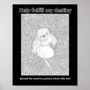 POSTER CUMPRA O MEU DESTINO SALVAR MATARES DE VENENO DE V