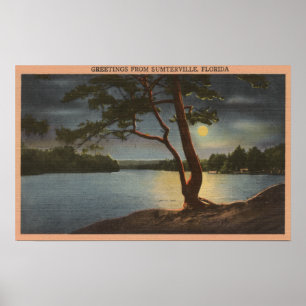Póster Cumprimentos de Sumterville, Florida - lua