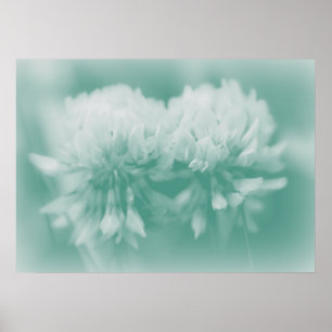 Poster Cupão branco sobre o Wildflower em Aqua
