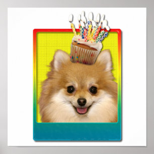 Póster Cupcake do aniversário - Pomeranian