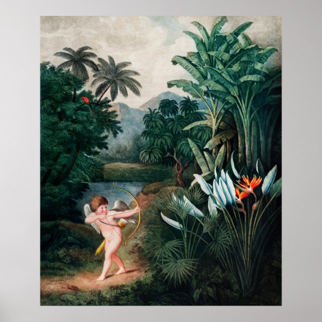 Poster Cupido Inspirando Plantas com Amor, Thornton Art (Frente)