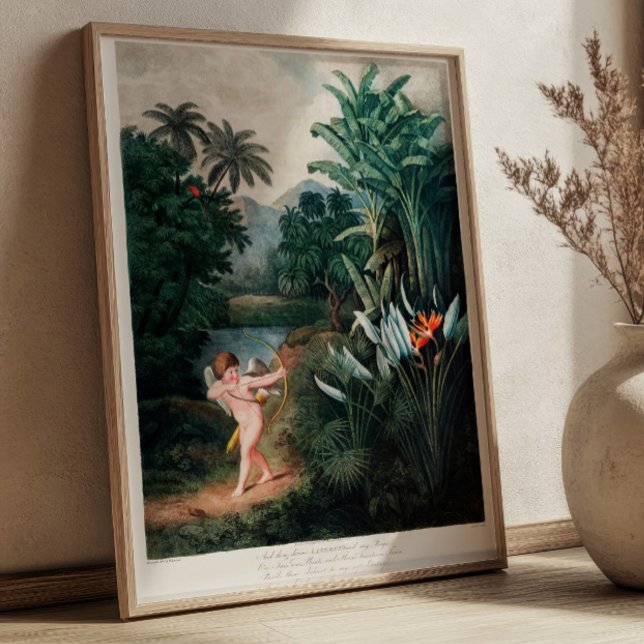 Poster Cúpido Inspirando Plantas com Amor Vintage (Criador carregado)