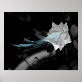 Poster Curar um Coração Quebrado - Bonito Foto Rosa Branc