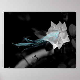 Poster Curar um Coração Quebrado - Bonito Foto Rosa Branc