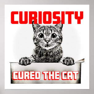 Poster Curiosidade Curou o Gato