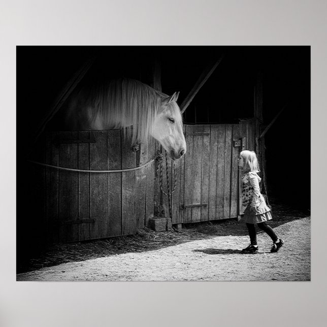 Poster Curiosidade Mútua (Frente)