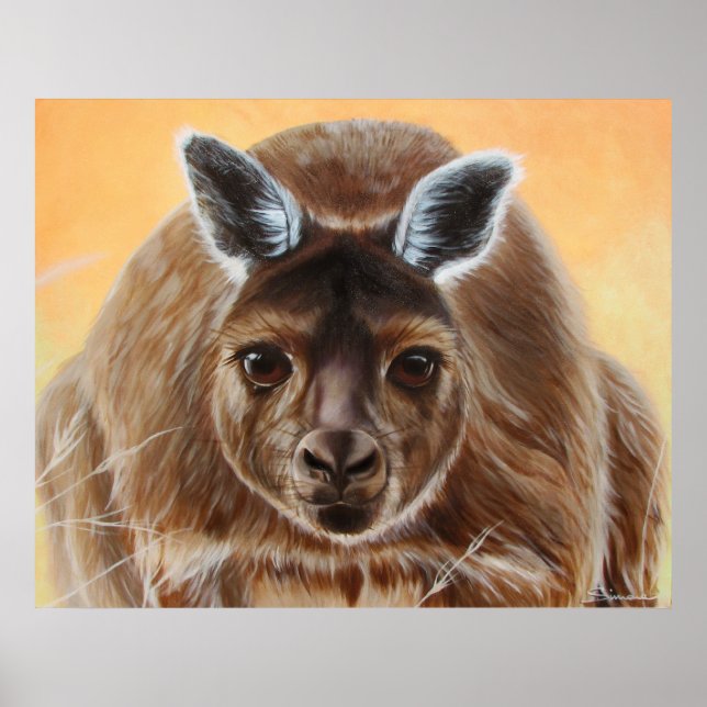 POSTER CURIOSO (Frente)