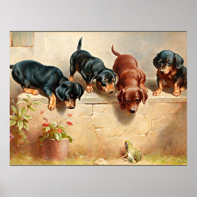 Poster Curioso Dachshund Puppies e um Sapo (Frente)
