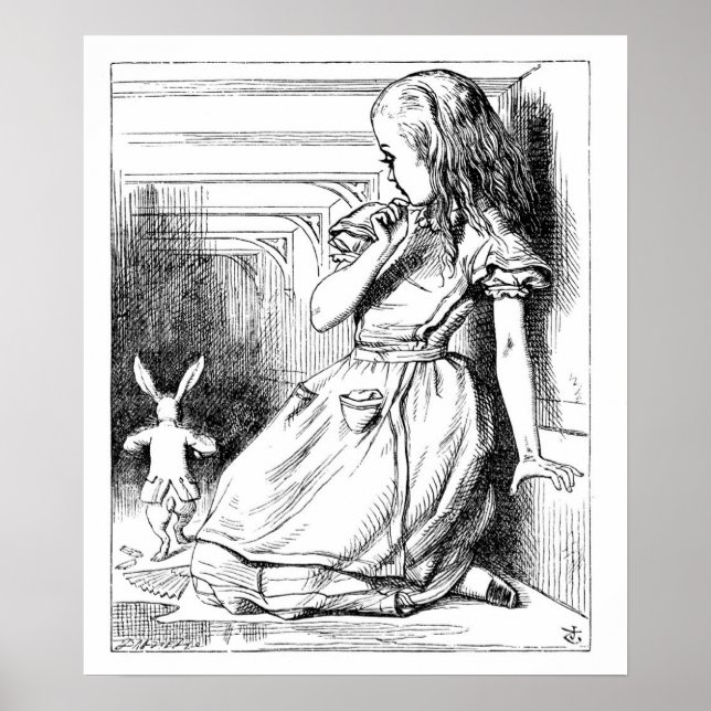 Poster Curioso e curioso! (Frente)