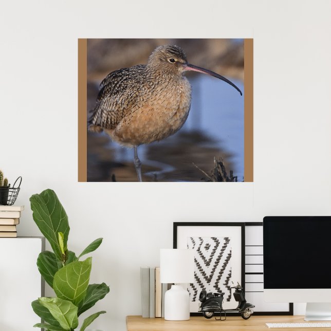 Poster Curlew de Faturação Longa (Escritório em casa)