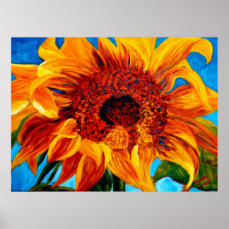 Póster CurlingIn the Sun