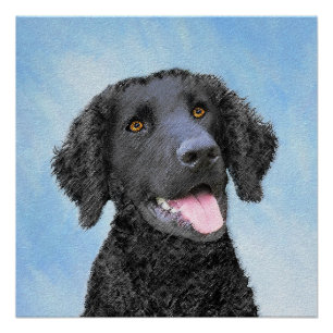 Póster Curly-Coated Retriever Painting - Original Dog Art