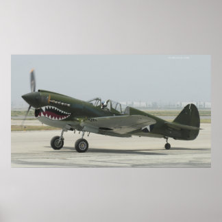 Póster Curtis P40