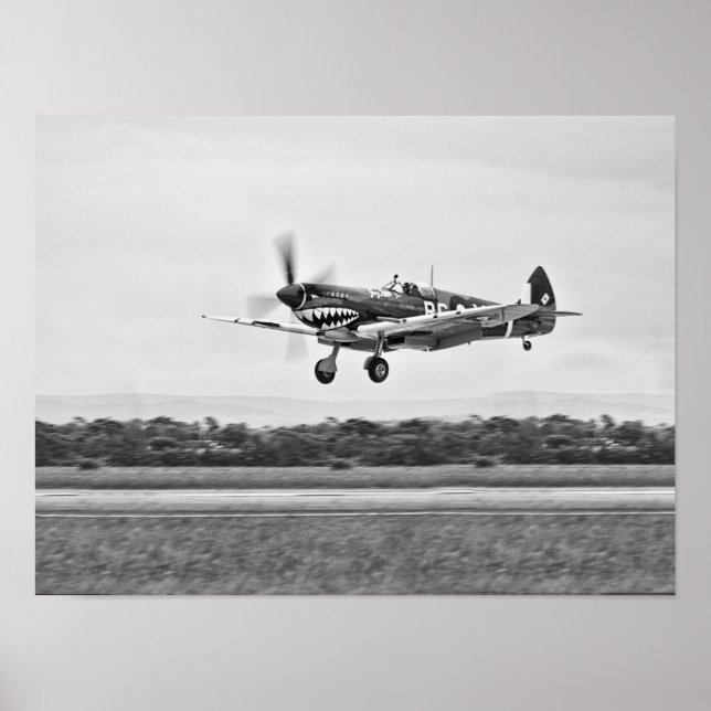 Poster Curtiss P-40 Warhawk Fighter Air Plane (Frente)