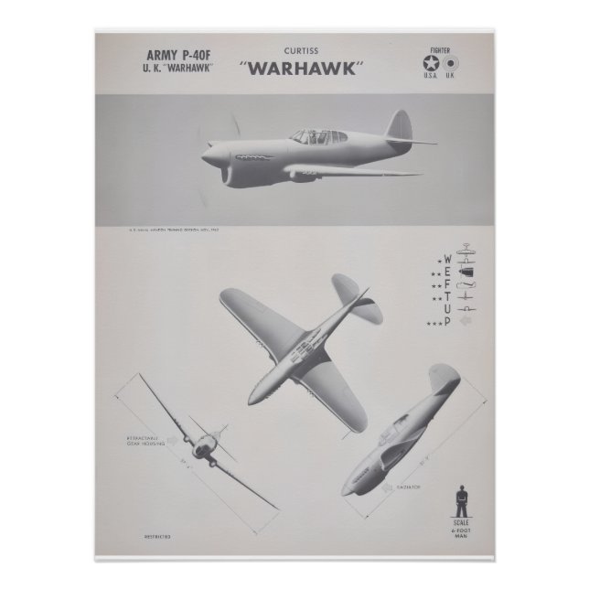 Póster Curtiss P-40 Warhawk Recognition Poster (Frente)
