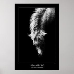 Poster Curva De Belas Artes Do Pescoço, estilo Galeria