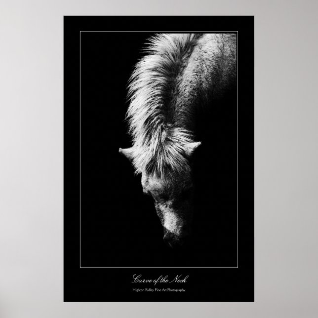 Poster Curva De Belas Artes Do Pescoço, estilo Galeria (Frente)
