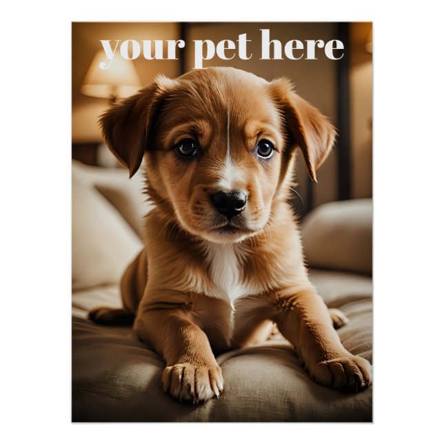 Póster Custom (Frente)