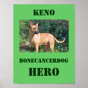 Poster customizável