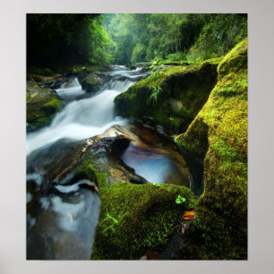 Poster customizável: Cachoeira do rio de Chattoog