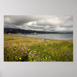 Poster customizável: Half Moon Bay no primavera