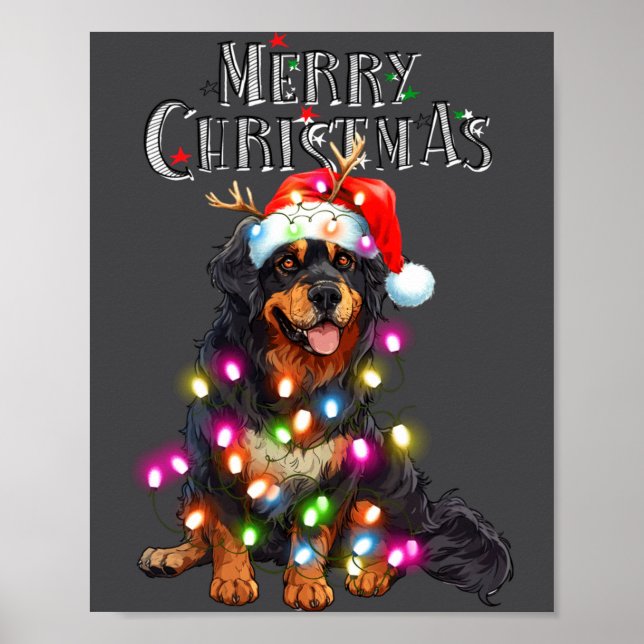 Poster Cute Bernese Mountain Christmas Lights Xmas Dog Lo (Frente)