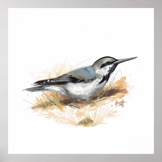 Poster cute bird (Frente)