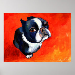 Poster Cute Boston Terrier Dog pintando Svetlana Novikova