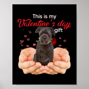 Poster Cute Bouvier Des Flandres Este É O Meu Dia de os n