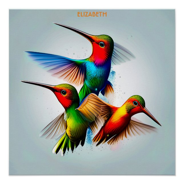 Póster Cute Colibri Rusty Fantasy Vintage Cute Colibri (Frente)