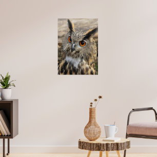Poster Cute eagle owl