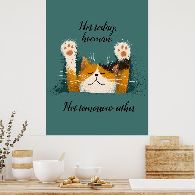 Poster Cute Funny Cat Nap (Cozinha)