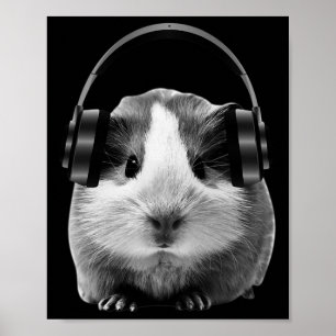 Poster Cute Guiné Pig Ouvindo Dubstep