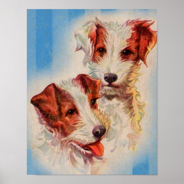 Poster CUTE Jack Russell terriers (Frente)