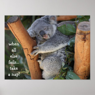 Poster Cute Koala Bear, quando tudo o mais falhar tira um