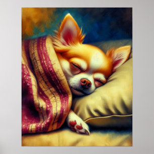 Poster Cute Napping Chihuahua