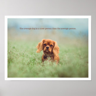 Póster Cute puppy