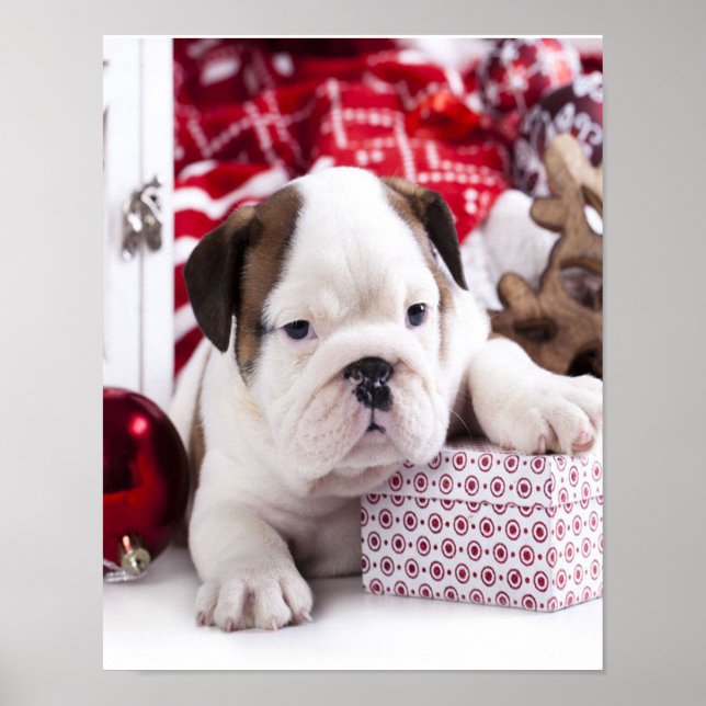 Poster Cute Puppy English Buldogue | Natal engraçado (Frente)