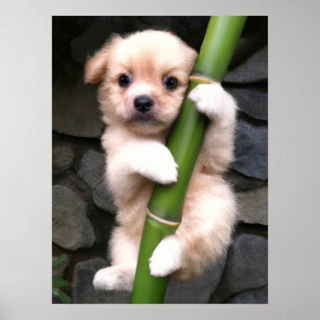 Poster Cute Puppy Gaejook 개 죽 이 (Frente)