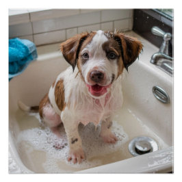 Póster Cute Soape Molhado Puppy Bath Poster Wall Art