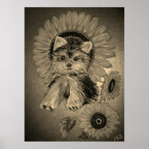 Poster Cute Yorkshire Terrier com Sunflower
