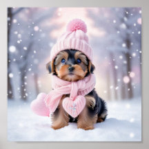 Cute Yorkshire Terrier Puppy