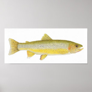 Poster Cutthroat litoral funcionado mar