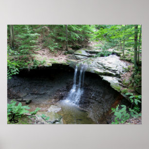 Poster CVNP - Galinha azul 2010