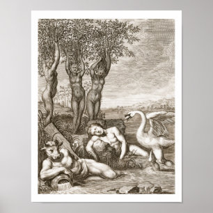 Poster Cygnus transformado em um Siste da cisne e do