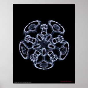 Póster Cymatics: Nota C da música