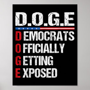 Poster D.o.g.e Doge Departamento De Eficiência Governamen